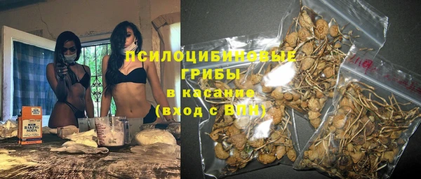 прущий лед Алексеевка