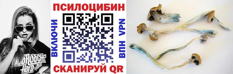 Псилоцибиновые грибы ЛСД  что такое наркотик  Павловская 